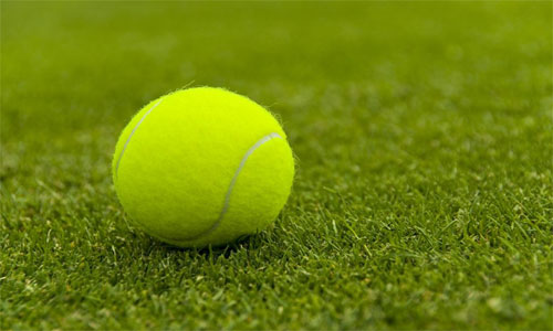تنیس در زمین چمن